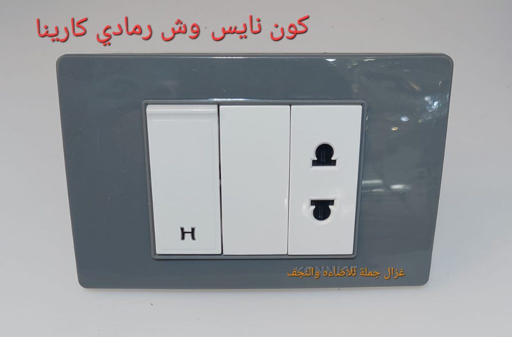 وش رمادي كارينا