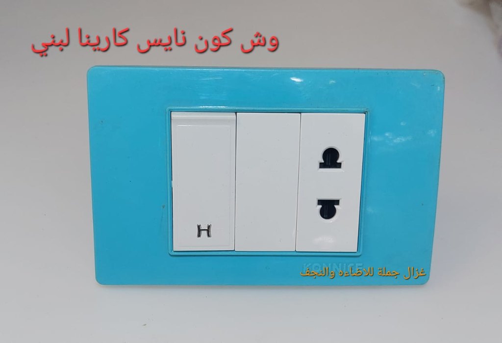 وش كارينا لبني