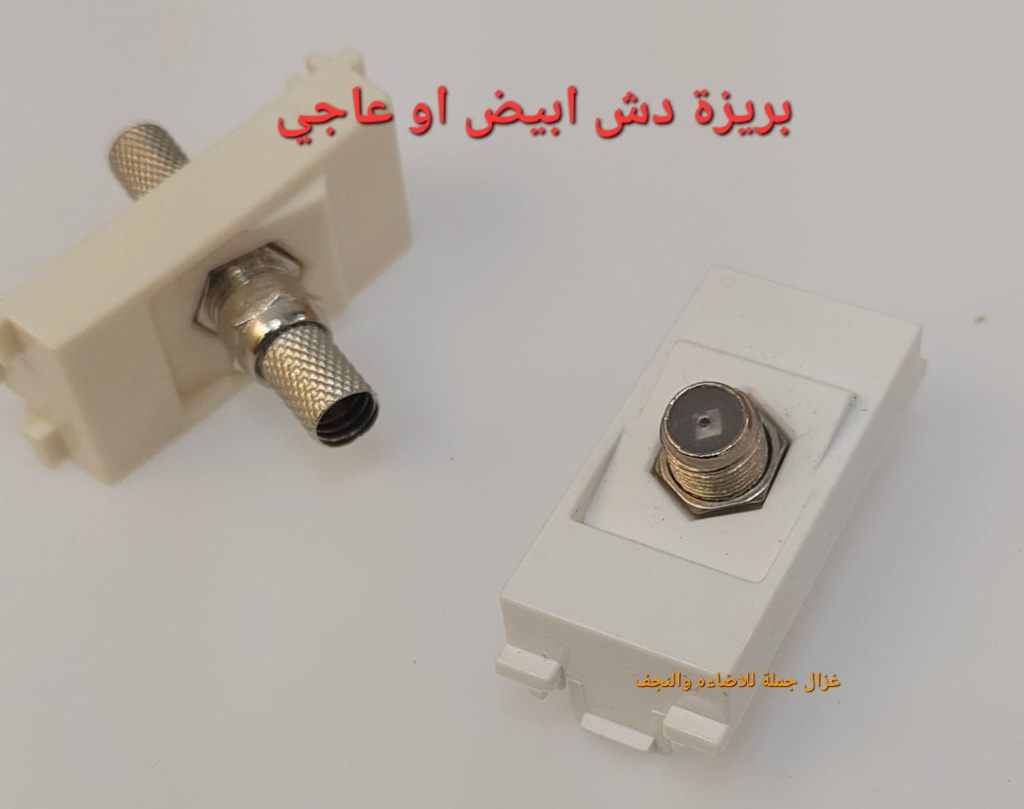 لقمة دش بيچ عاجي