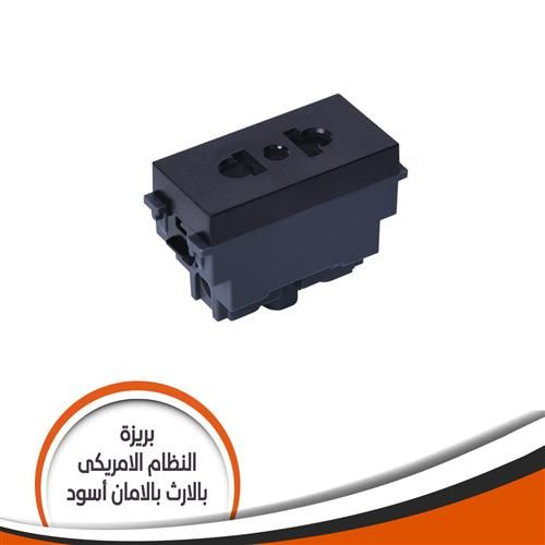 بريزة